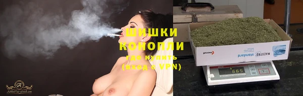 мдпв Зеленодольск