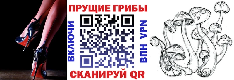 Купить закладки  Электросталь  Галлюциногенные грибы MAGIC MUSHROOMS 